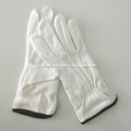 Adult Cotton Gloves White
